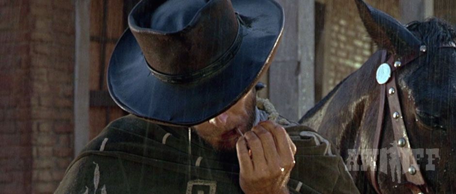 Almeria Western FILM FESTIVAL 2015 